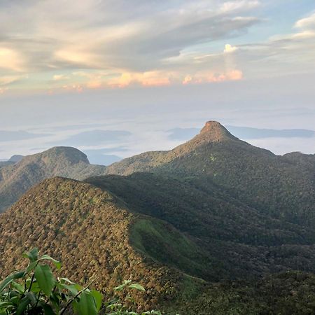 Hotel Mango Tree Nearest Adam'S Peak Nallathanniya ภายนอก รูปภาพ