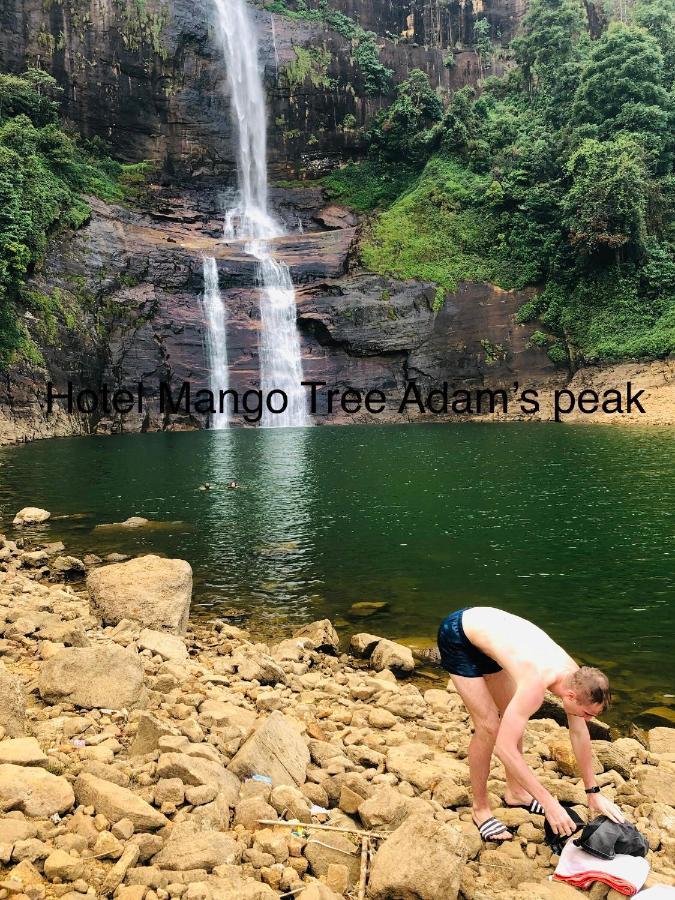 Hotel Mango Tree Nearest Adam'S Peak Nallathanniya ภายนอก รูปภาพ
