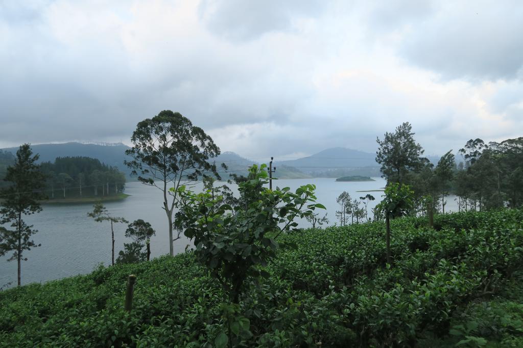 Hotel Mango Tree Nearest Adam'S Peak Nallathanniya ภายนอก รูปภาพ