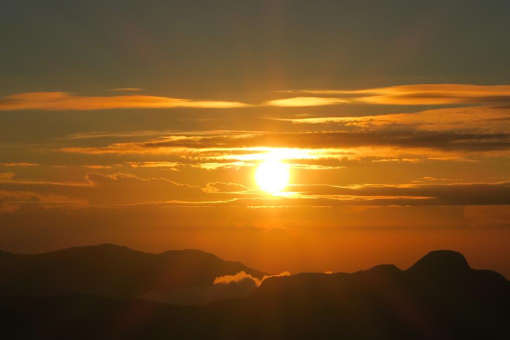 Hotel Mango Tree Nearest Adam'S Peak Nallathanniya ภายนอก รูปภาพ