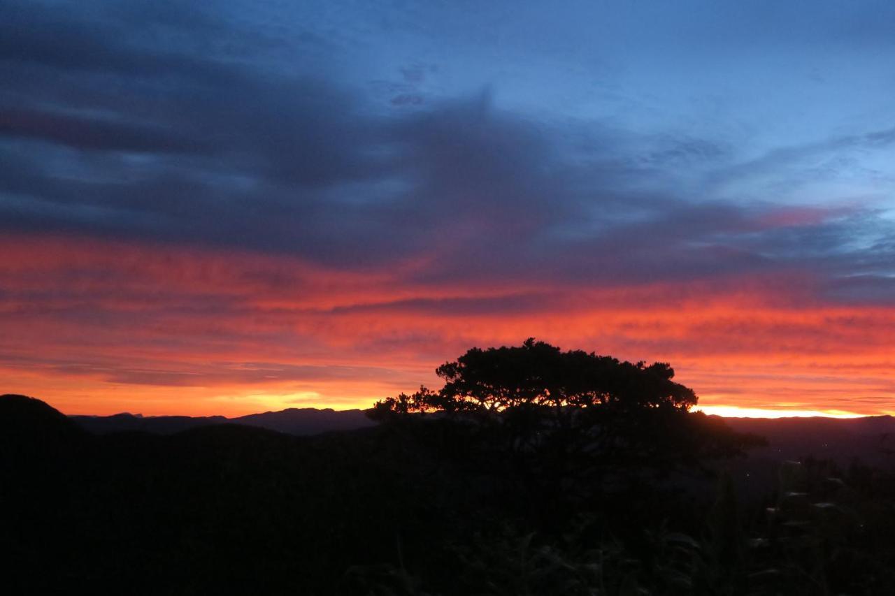 Hotel Mango Tree Nearest Adam'S Peak Nallathanniya ภายนอก รูปภาพ