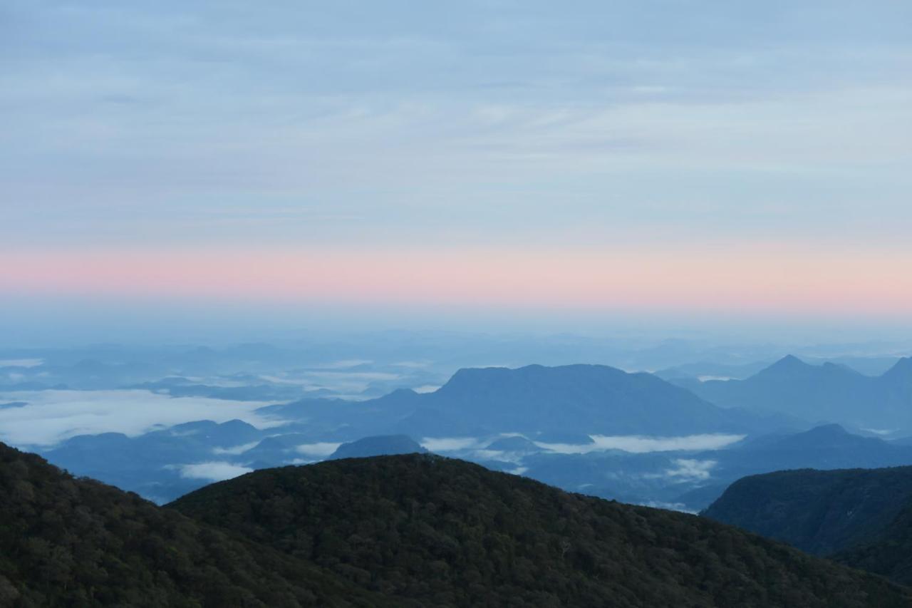 Hotel Mango Tree Nearest Adam'S Peak Nallathanniya ภายนอก รูปภาพ